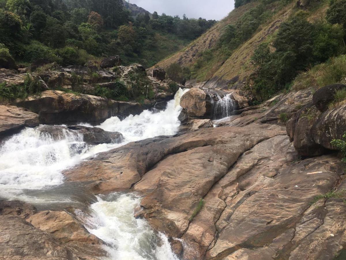 Greenpepperhomestay Munnar Anaviratty Bagian luar foto
